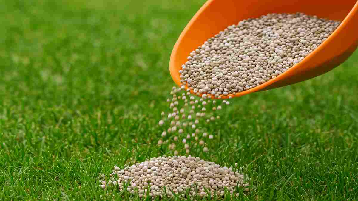 WHEN TO APPLY FERTILIZER IN TEXAS visual data 7